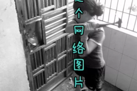 /img/144.png/img/144.png收到中信催收律师函？了解应对策略，维护自身权益/img/144.png