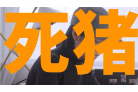 嘉黎催账公司哪里找？——全方位解析选择优质催账服务的要点