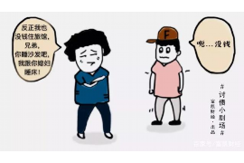 镇沅收债公司：专业高效的债务回收解决方案